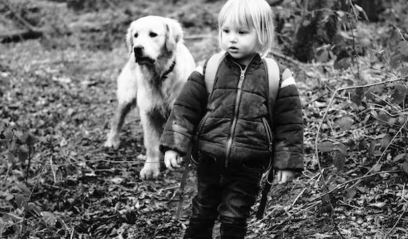 MXC — Трудолюбив самотен баща, изпълнителен директор, намира малко момиченце, което спи върху боклука с кучето си — и истината, която научава, го разбива.