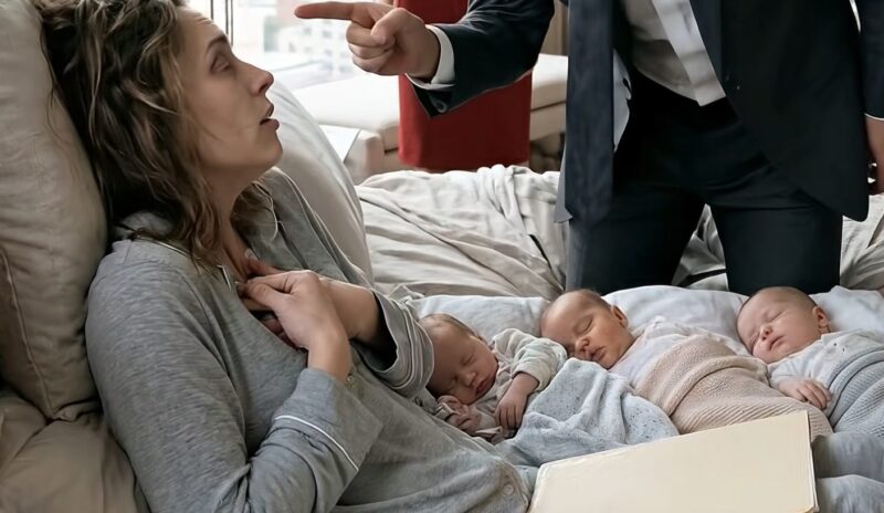 След като родих четиризнаците ни, съпругът ми ми бутна документи за развод. Нарече ме „плашило“, обвини ме, че съсипвам имиджа му на изпълнителен директор и започна да парадира с аферата си със секретарката му.